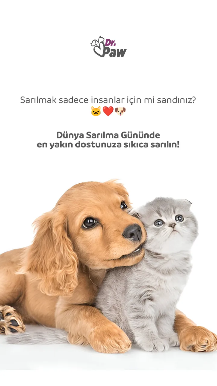 Story tasarımı