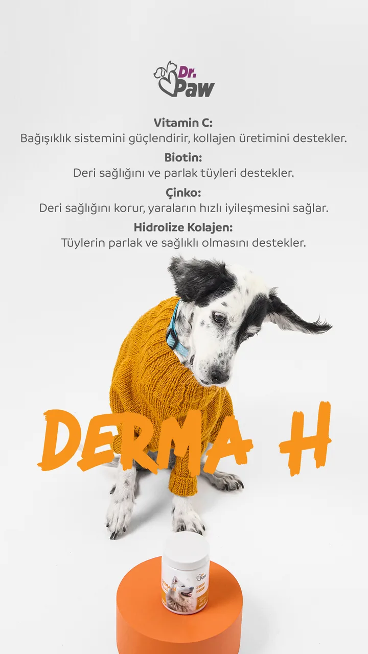 Story tasarımı
