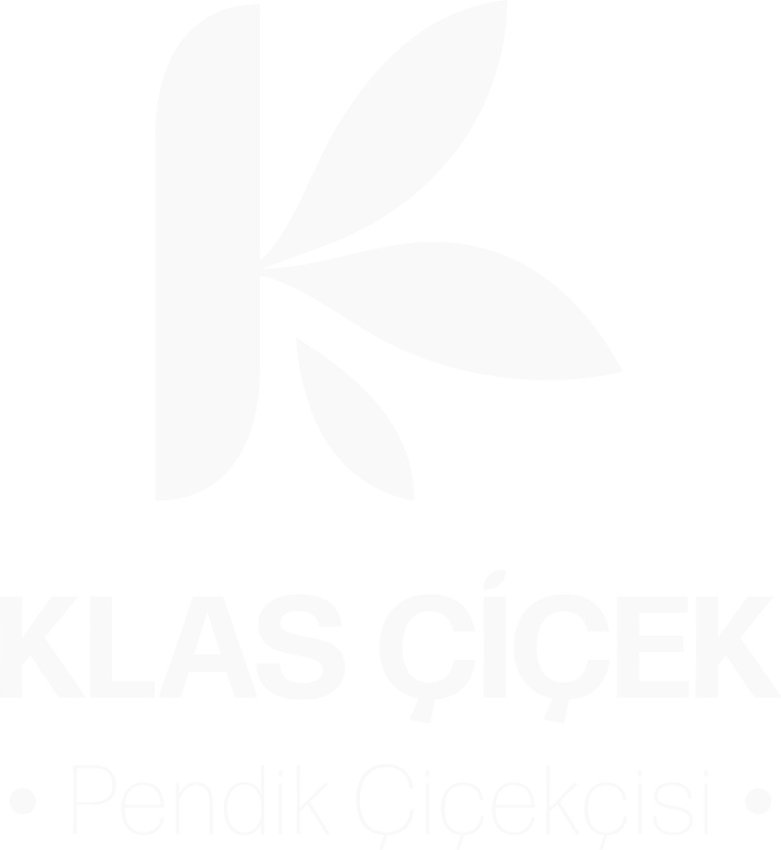 Klas Çiçek logo tasarımı